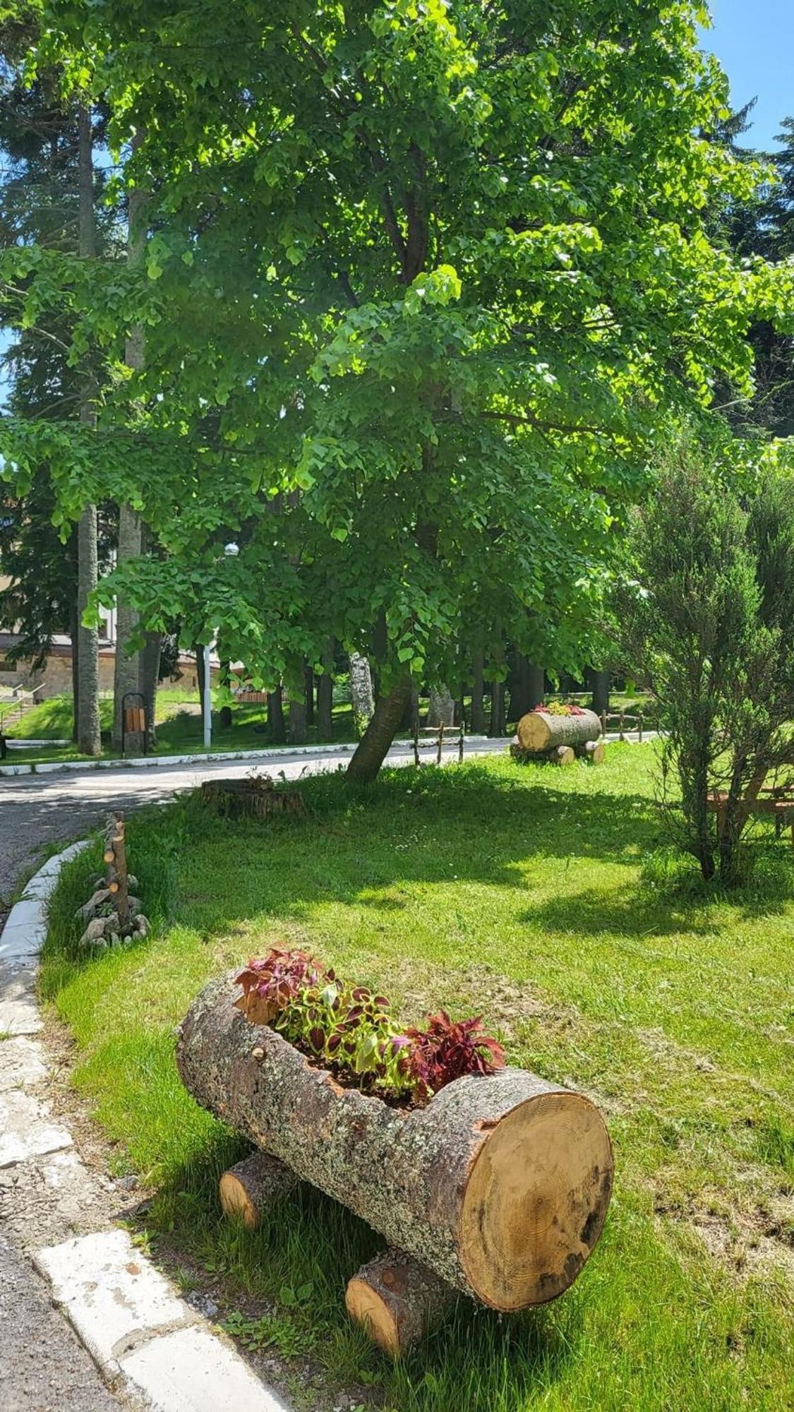Pm Services Borovets Garden Apartments Екстер'єр фото