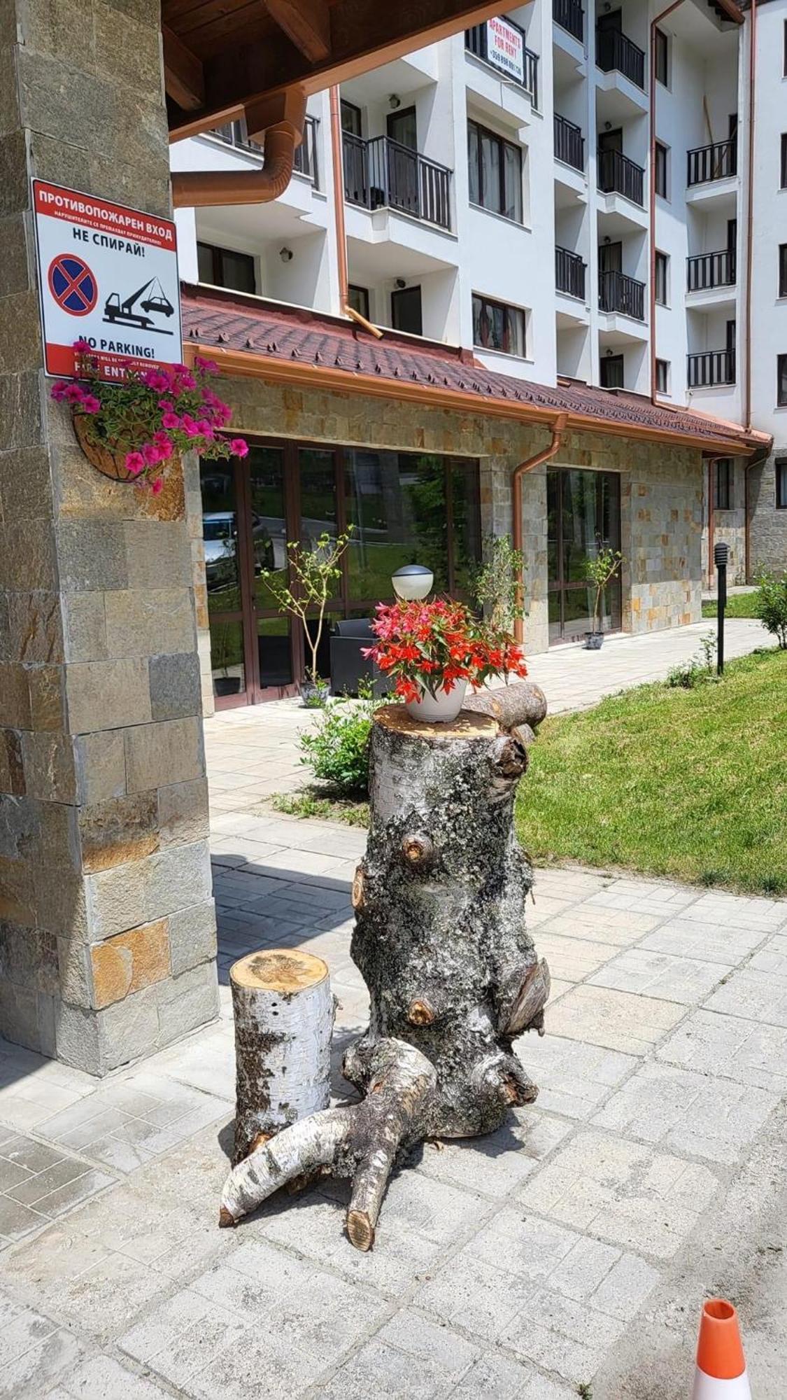 Pm Services Borovets Garden Apartments Екстер'єр фото